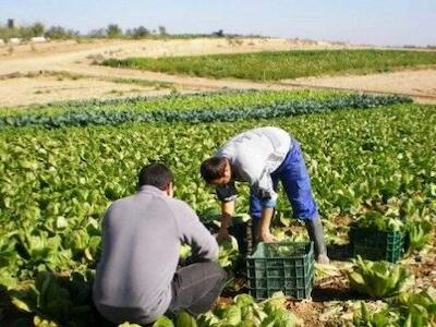 Foto del sitio: Revista Mercados