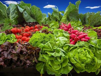 Mapeamento de iniciativas solidárias de consumo de alimentos