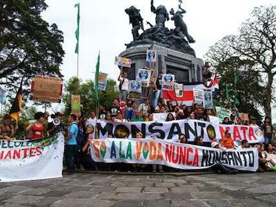 Foto: Bloque Verde