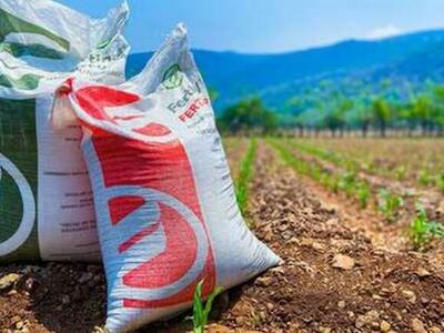 México: Importaciones de fertilizantes y maíz, en nivel récord este año 