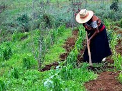 México: Megaproyectos extractivos, principal problema de pueblos indígenas