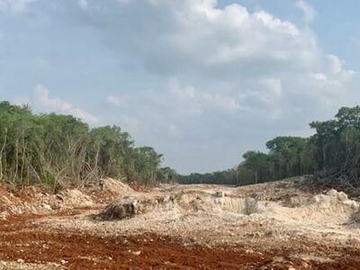 México: organizaciones denuncian que obras del Tren Maya han deforestado hasta el momento 6 659 hectáreas