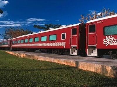 México: Tren Maya no es más que otro proyecto de destrucción de la madre tierra