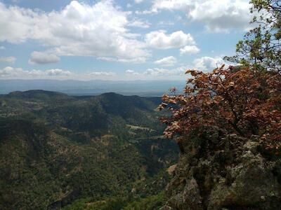 Minera La Victoria insiste en explorar en el municipio de Huayacocotla