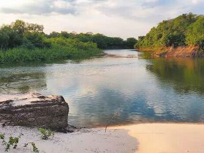 Mosaicos de conservación, una pieza clave para cuidar la biodiversidad de Colombia