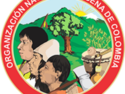 Motivos para movilizarnos como Organización Nacional Indígena de Colombia (ONIC)