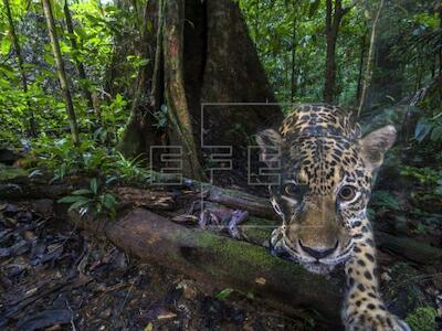 Mujeres amazónicas declaran la defensa de la selva y contra el extractivismo