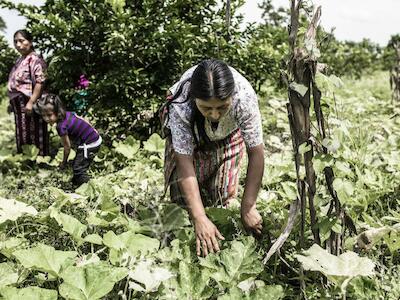 Mujeres rurales: que defender el territorio no cueste vida