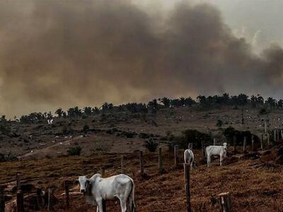 Na Agrizone da COP 30, os protagonistas serão os culpados pela crise ambiental