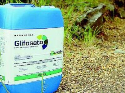 Niega Semarnat importación de mil toneladas de glifosato, bajo el principio precautorio para la prevención de riesgos