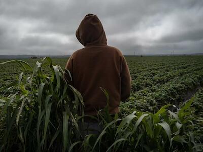 Niños explotados y fumigados en campos de California
