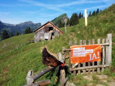 No a la Iniciativa Multinacionales responsables - el compromiso con los derechos humanos continúa