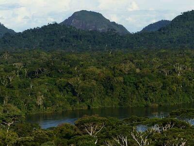 No se salvó el proyecto que buscaba blindar la Amazonia del extractivismo