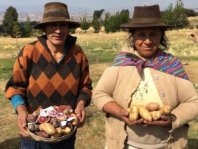 "No son vándalos, sino agricultores que proveen alimentos saludables"