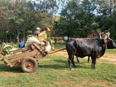 Ñu Pyahu: 24 años de arraigo, organización y lucha campesina