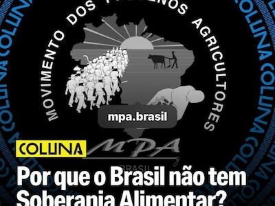 O Brasil está longe de sua soberania alimentar