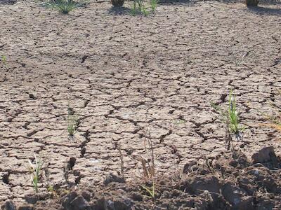 Organizaciones ambientales y sociales rechazan avance de proyectos extractivistas durante la pandemia