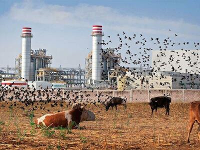 Foto: Antonio Turok | Hablan los pueblos