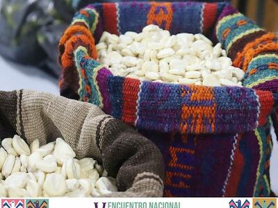 Organizaciones rechazan la introducción de semillas modificadas y defienden la soberanía alimentaria
