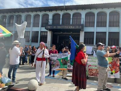 Organizaciones rechazan normativa que permite producción de cultivos transgénicos