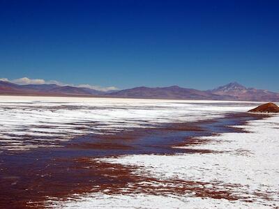 Organizaciones solicitan Misión Ramsar de Asesoramiento para frenar el deterioro de los salares Surire, Atacama y Maricunga