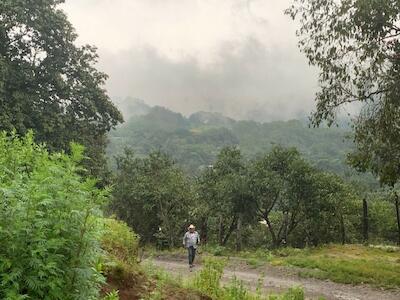 Foto: Los poblados que forman parte de la comunidad indígena de Ayotitlán están dispersos en la Sierra de Manantlán. (Thelma Gómez / Mongabay Latam)