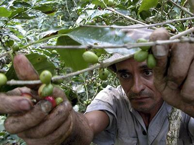 Otro mundo es posible: qué tiene Cuba para enseñarnos sobre la agroecología
