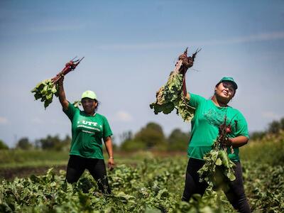 Para resolver el abastecimiento de alimentos hay que implementar una política de acceso a la tierra