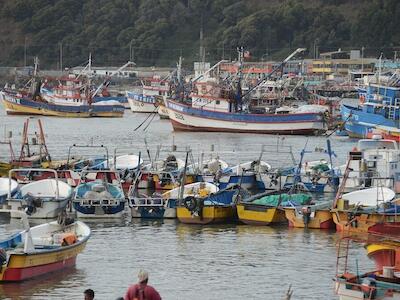 Pesca artesanal en Chile sufre de «desigualdad estructural» que amenaza su futuro, según reciente estudio científico