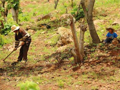 Políticas Anticampesinas - una mirada sobre los desafíos para la agricultura y la vida