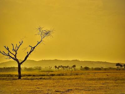 El planeta se dirige a un calentamiento de 2.7 °C por encima del nivel preindustrial y a su vez muy por encima al objetivo trazado (no superar los 1.5). Foto: piqsels.com