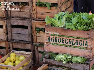 ¿Por qué necesitamos el Foro Agrario Nacional?