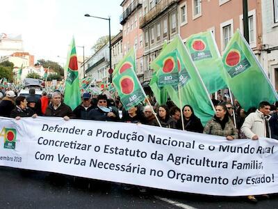 Portugal: Oscilaciones en el comercio internacional exigen reorientación de la política agrícola hacia el mercado interno