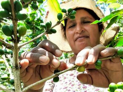 Los beneficios de productir alimentos orgánicos. Foto: gob.pe