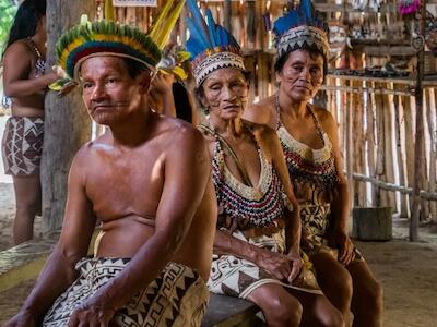 Pueblos indígenas defienden selva amazónica y alimentos tradicionales