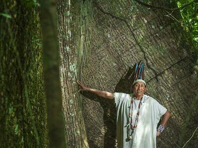 Reserva comunal Amarakaeri, área natural de 402.335 hectáreas protegida por las comunidades harakbuts, yines y machiguengas en Madre de Dios, en la Amazonía de Perú