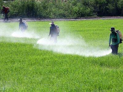 Quintal de agrotóxicos: governo libera mais 51 venenos