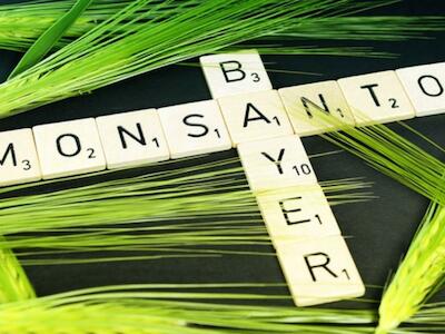 Bayer AG es propietaria de la fabricante de semillas genéticamente modificadas Monsanto. Foto Xinhua / Archivo