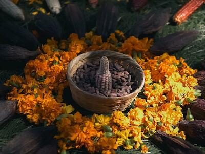 Realizan el “Festival del Maíz y el Kakaw 2025” en Argueta, Sololá