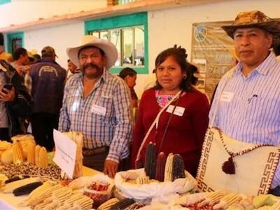 Realizan la 23 feria del maíz y otras semillas nativas en Tlaxcalaf