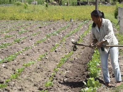 Realizan primer encuentro «Mujeres, comunidad, territorio y vida digna» en el Sur de Jalisco