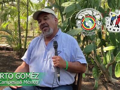 Recordando grandes movilizaciones de La Vía Campesina en México