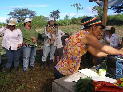 Red de Mujeres Rurales logró la nulidad del decreto que pretendía restringir el comercio de semillas criollas