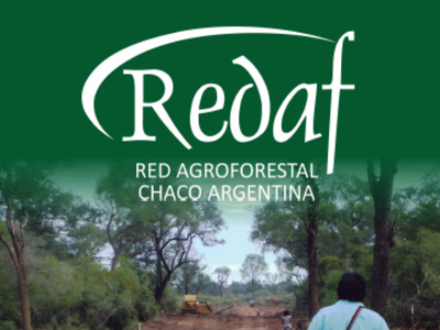 Redaf presenta su publicación sobre la Ley de Bosques en la Región Chaqueña