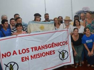 Referentes mundiales se sumaron al “No a los Transgénicos en Misiones”