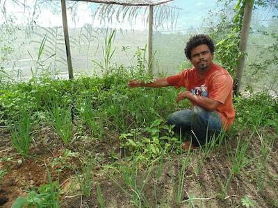 "Retomadas quilombolas" transformam monocultivos em produção agroecológica no ES