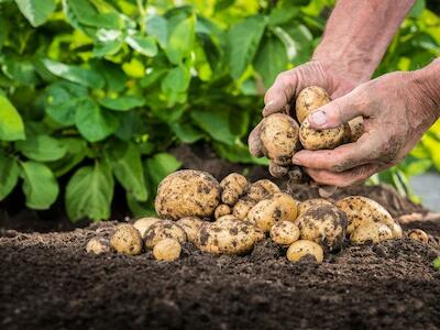 Retornar a la agricultura tradicional, herramienta eficaz contra el cambio climático