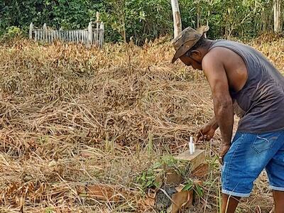 RSPO suspende a exportador brasileño de aceite de palma tras informe de Mongabay sobre acaparamiento de tierras