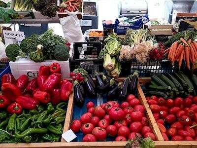 S.O.S: Urge una revolución alimentaria integral