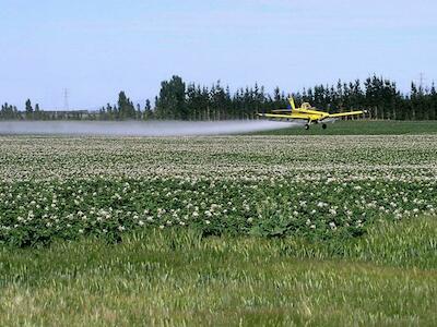 “Se deben prohibir los plaguicidas peligrosos y apoyar la agricultura sin agrotóxicos”
